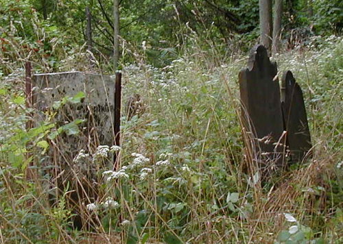 Swarthout Graves